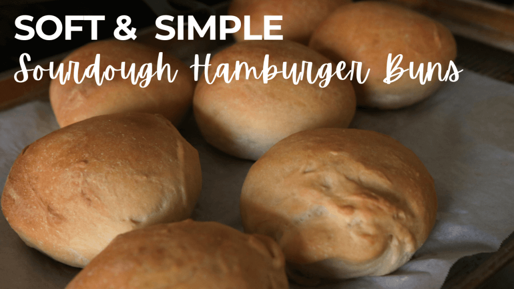 soft sourdough hamburger buns