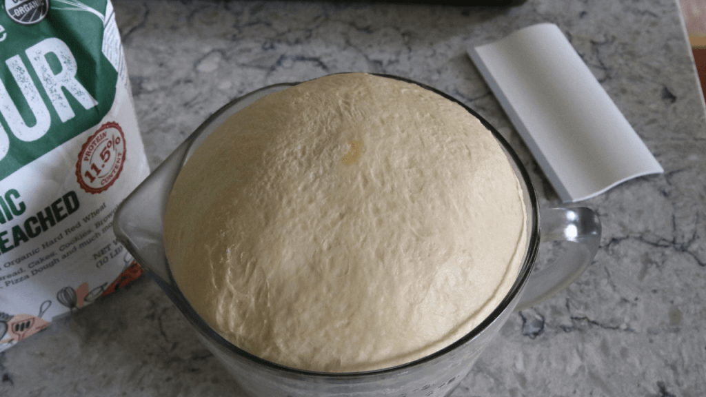 soft sourdough hamburger bun dough finished rising