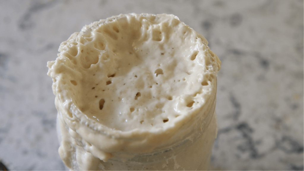 starter ready to be used in recipe