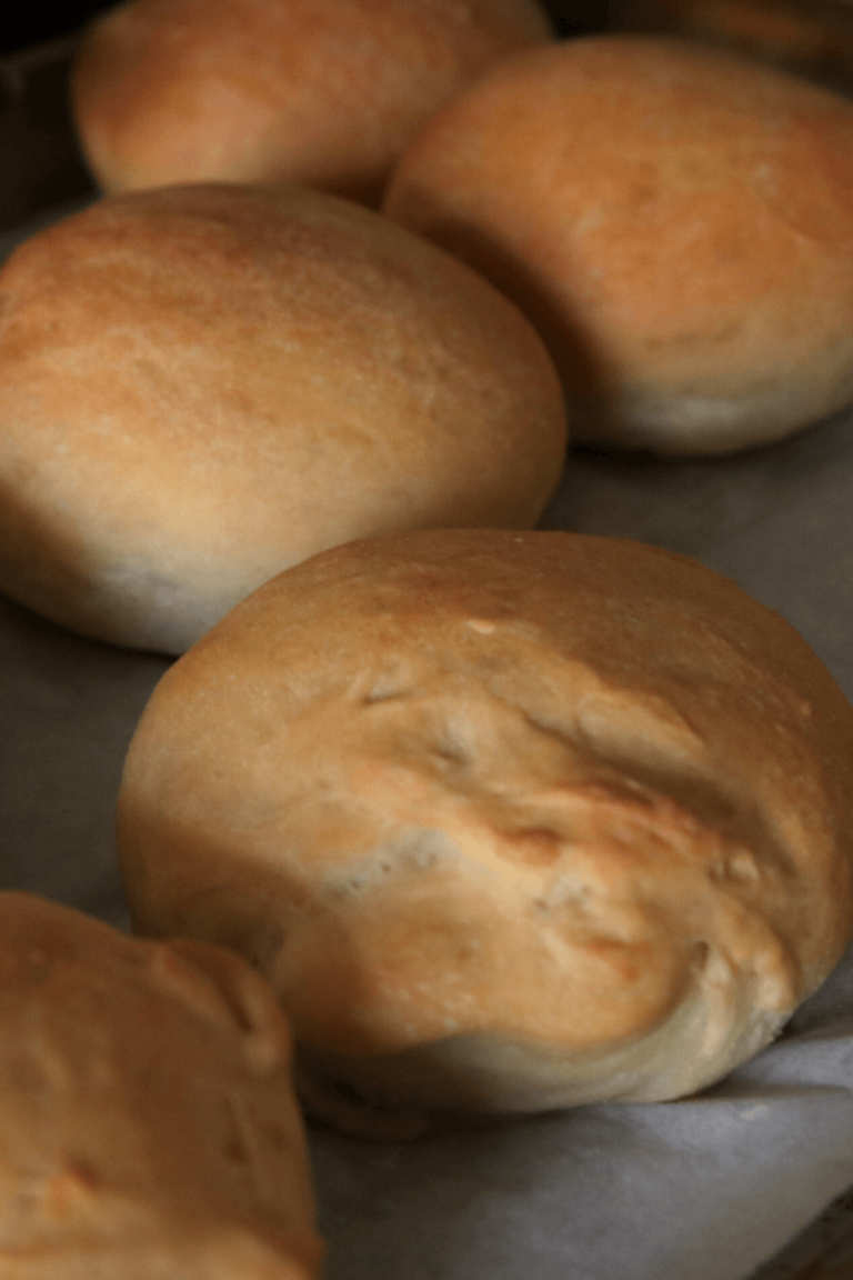 soft and simple sourdough hamburger buns