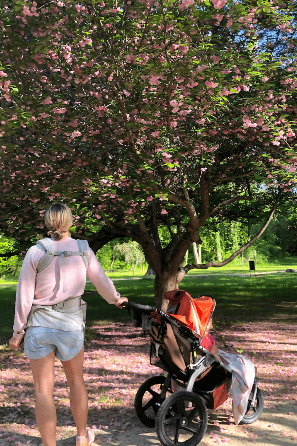 bob stroller and ergo baby carrier