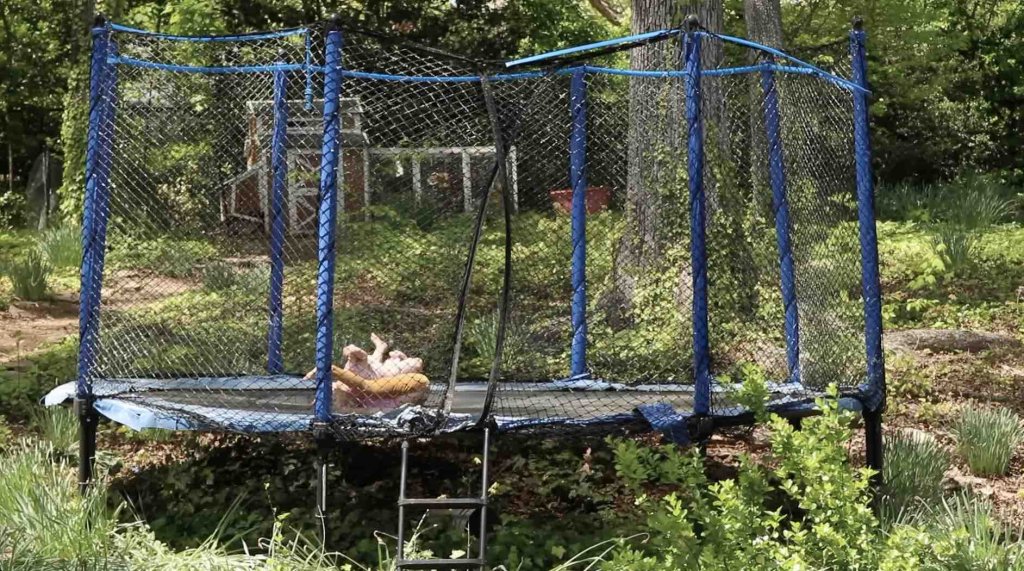 kids on the trampoline
